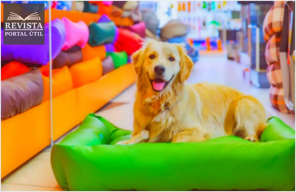 Dicas para aumentar o faturamento de seu pet shop