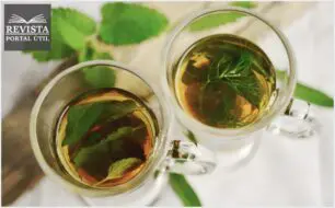 13 benefícios da teanina em nosso corpo