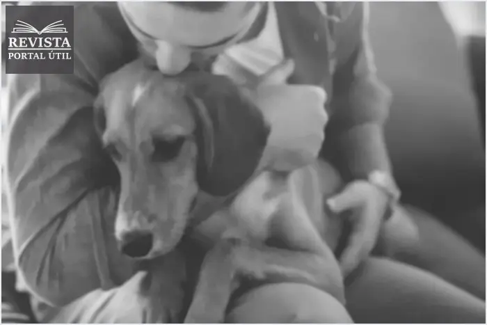 Cuidar de um animal de estimação ajuda em casos de depressão