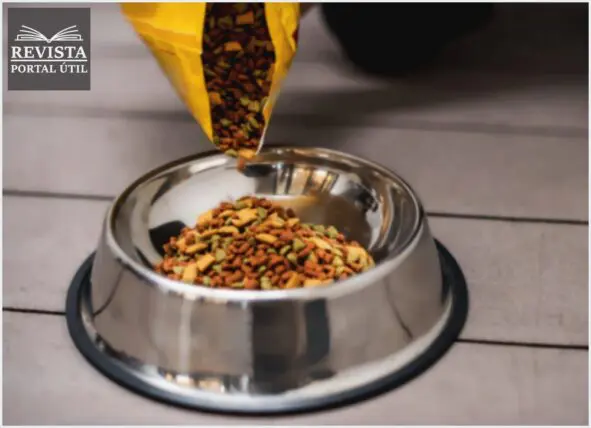 Ração Para Cachorro Idoso e Adulto: Quais as Diferenças Ração Para Cachorro Idoso e Adulto: Quais as Diferenças