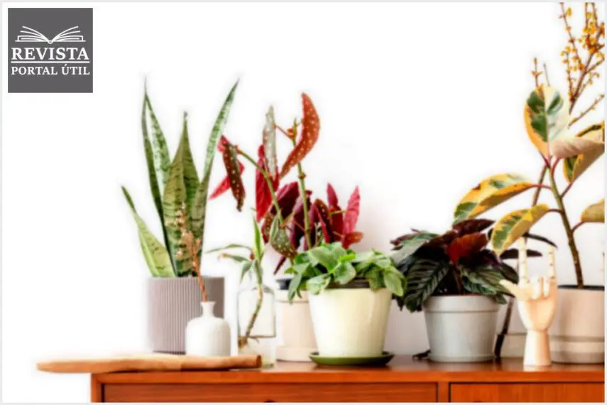Decoração floral do quarto: dicas para combinar tudo
