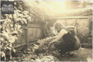 Como ter uma horta em casa? Confira algumas dicas Como ter uma horta em casa? Confira algumas dicas