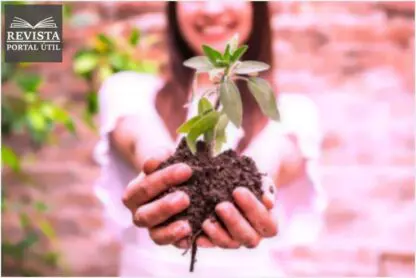 Descubra como diminuir o impacto ambiental nas suas práticas diárias