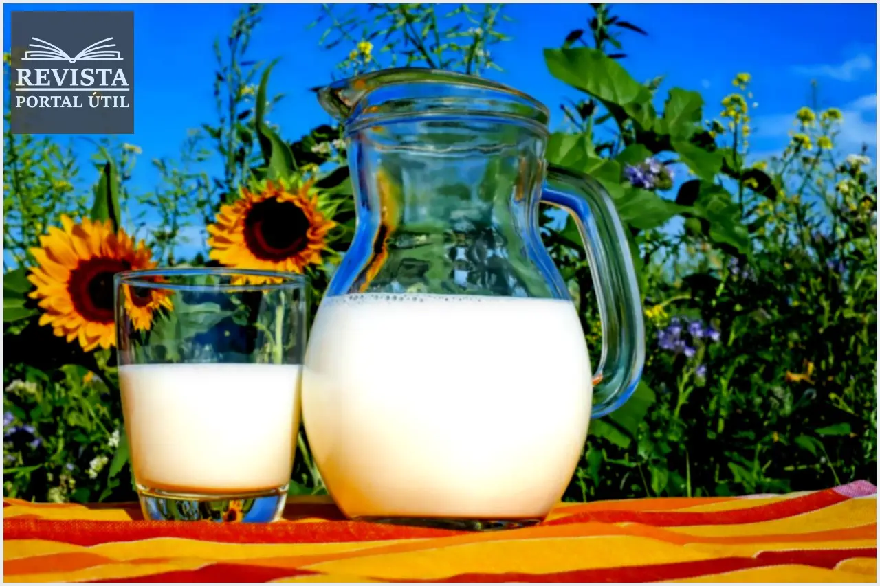 Diferentes tipos de leite vegano para utilizar na sua rotina Diferentes tipos de leite vegano para utilizar na sua rotina