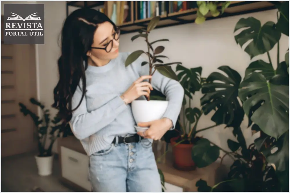 Jardim de inverno: Saiba como ter um na sua casa Jardim de inverno: Saiba como ter um na sua casa