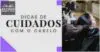 Dicas de cuidados com o cabelo que você precisa conhecer