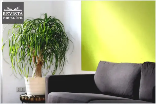 Papel de parede: Como escolher o melhor para a sala?