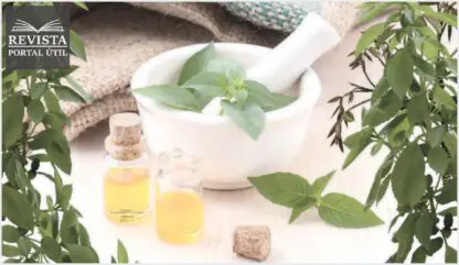 Como os óleos essenciais podem ajudar na menopausa