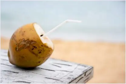 Como é o processo da água de coco industrializada?