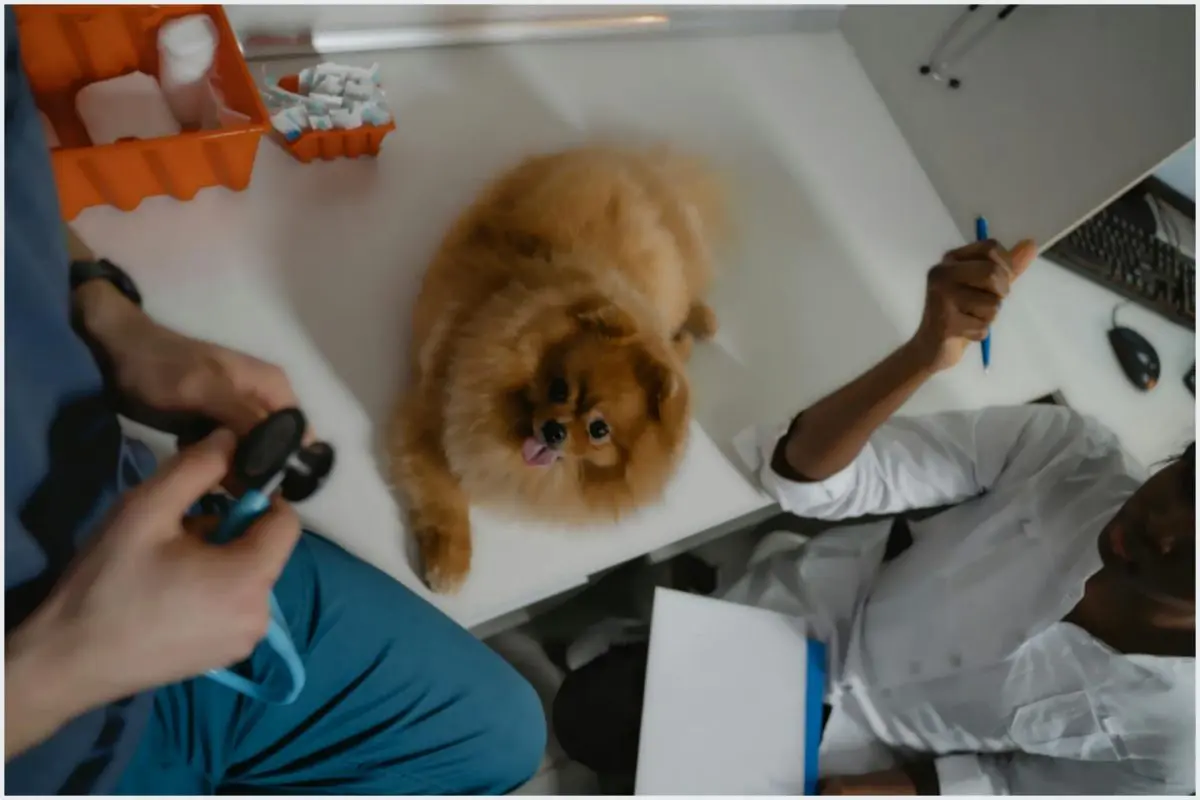 Perito veterinário pode ganhar mais de R$ 10 mil Perito veterinário pode ganhar mais de R$ 10 mil