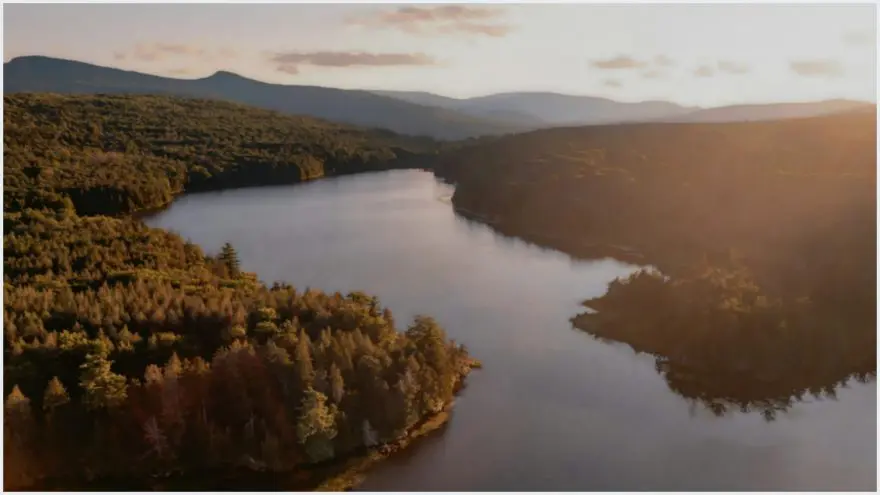 Monster Hunter: Guia para Iniciantes