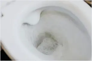 O que não jogar em um vaso sanitário?