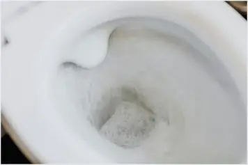 O que não jogar em um vaso sanitário? O que não jogar em um vaso sanitário?