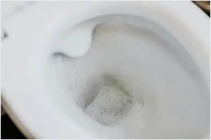 O que não jogar em um vaso sanitário?