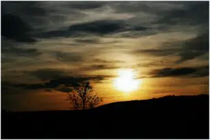 Automação e sustentabilidade: caminhos para uma produção mais verde