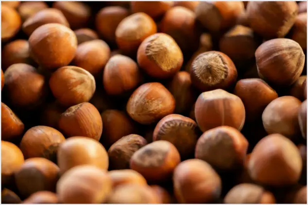 Benefícios do avelã na sua dieta