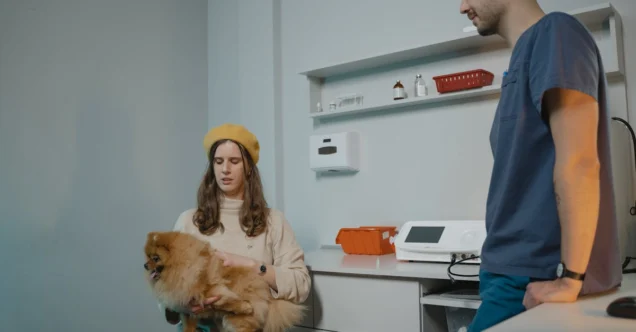 Como saber se o veterinário cuida bem do seu pet?