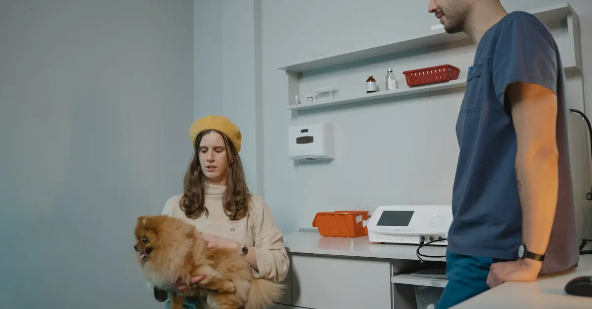 Como saber se o veterinário cuida bem do seu pet? Como saber se o veterinário cuida bem do seu pet?