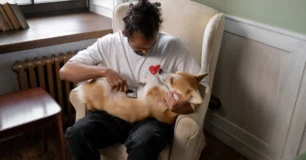 Essa rotina deixa seu pet calmo no veterinário