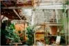 Como Decorar Áreas Externas com Pouco Investimento Como Decorar Áreas Externas com Pouco Investimento