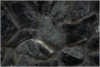 Carmen Black: a intensidade do quartzito preto Carmen Black: a intensidade do quartzito preto