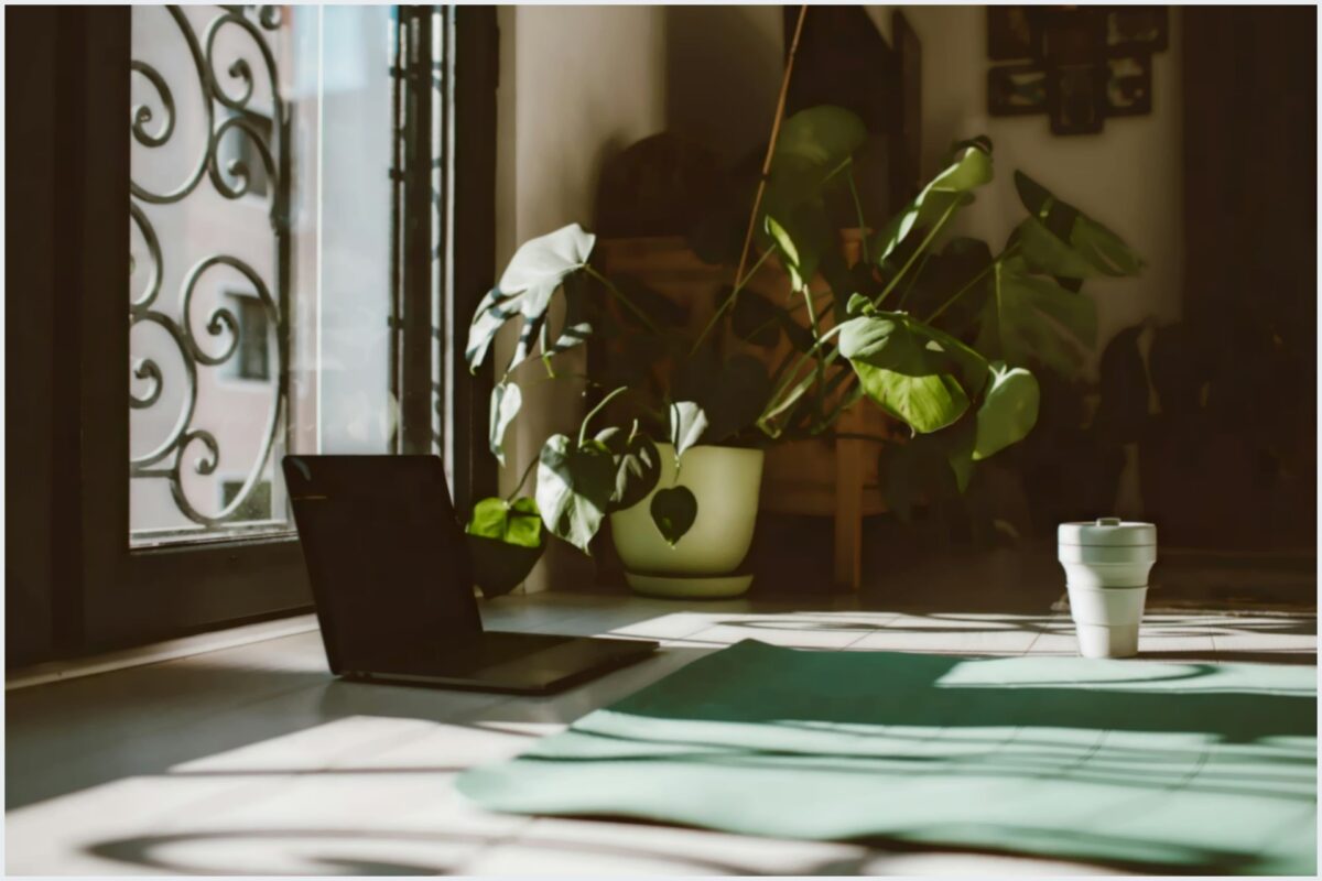 Transforme sua casa com decoração sustentável e energia positiva Transforme sua casa com decoração sustentável e energia positiva