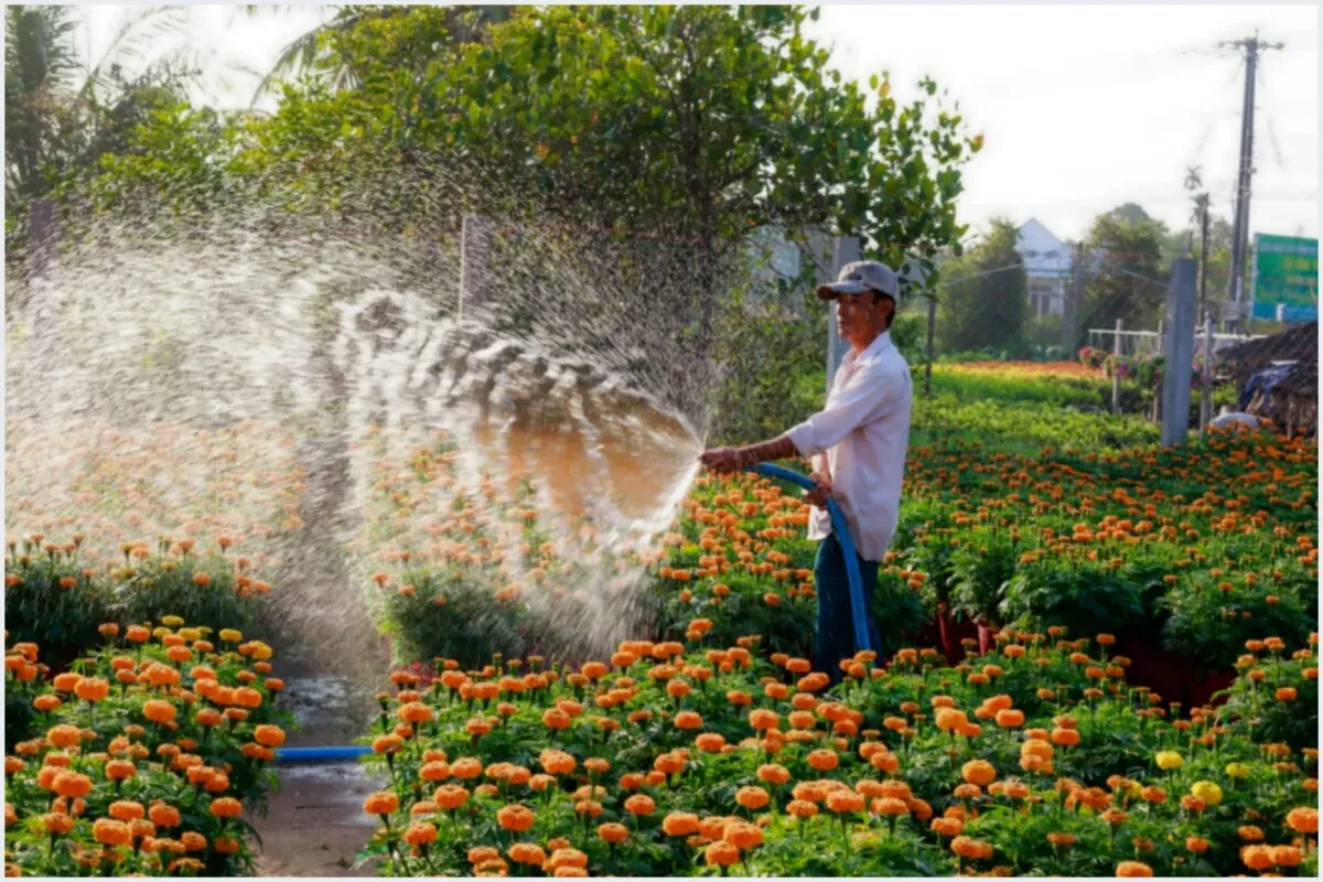 Veja por que contratar um jardineiro faz toda a diferença