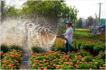 Veja por que contratar um jardineiro faz toda a diferença