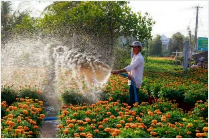 Veja por que contratar um jardineiro faz toda a diferença