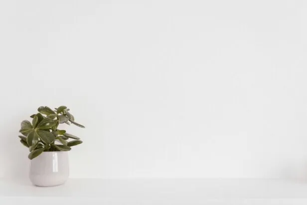 Como Calcular a Potência de Iluminação Necessária para o Crescimento Saudável de Plantas em Ambientes Internos