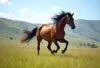 O que significa sonhar com cavalo?