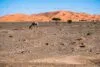 Curiosidades do Chade: 15 Fatos Fascinantes Sobre o País Africano