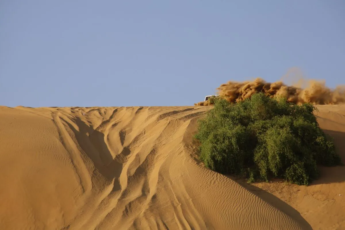 Veículo 4x4 levantando poeira de areia ao cruzar dunas douradas no deserto da Arábia Saudita, com arbustos verdes e céu azul ao fundo