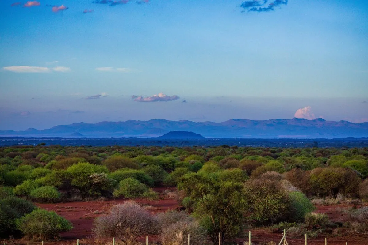 Savana africana com vegetacao verde, solo avermelhado e cadeia de montanhas ao fundo sob ceu azul ao entardecer