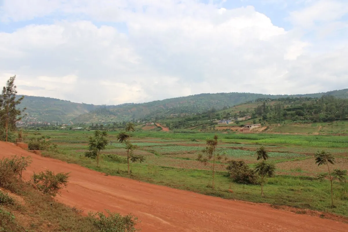 Estrada de terra vermelha cruzando campos cultivados e colinas verdes com casas espalhadas, paisagem tipica da regiao dos Grandes Lagos na Africa Oriental