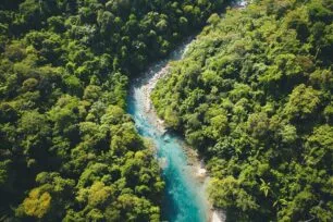 Curiosidades do Brasil: 20 Fatos que Vão te Surpreender