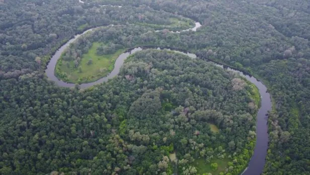 Curiosidades do Congo: o país que na verdade são dois