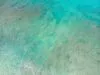 Curiosidades de Granada: 18 fatos sobre a Ilha das Especiarias do Caribe