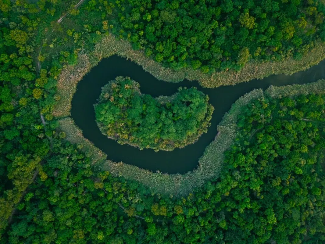 Vista aérea de um rio sinuoso atravessando uma floresta tropical verde e densa