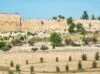 20 curiosidades sobre Israel que poucos conhecem