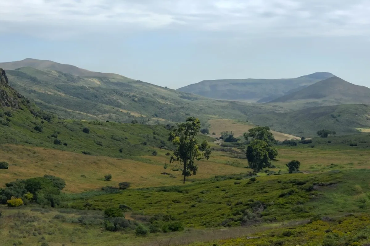 Vale verde com colinas, árvores espalhadas e montanhas ao fundo, paisagem típica das terras altas do sul da África