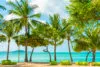 15 curiosidades sobre a Jamaica que vão te surpreender