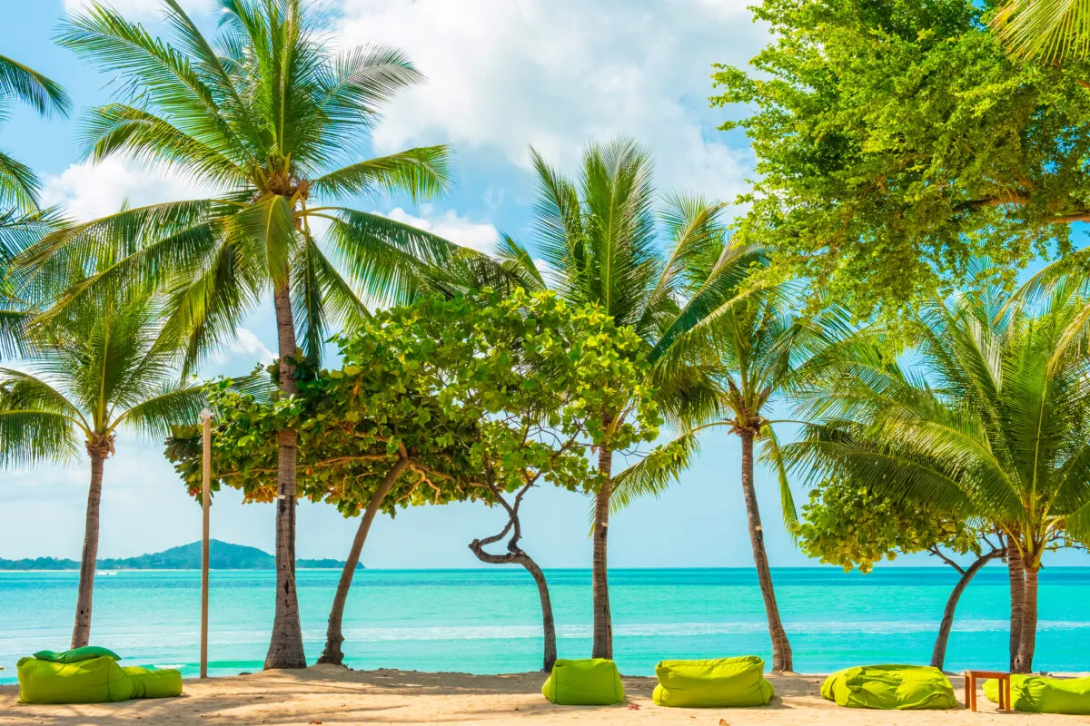 Praia tropical com coqueiros, areia dourada e mar azul-turquesa sob céu claro, com pufes verdes na areia
