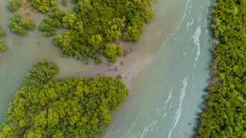 Curiosidades sobre a Guiné-Bissau: 18 fatos incríveis Curiosidades sobre a Guiné-Bissau: 18 fatos incríveis