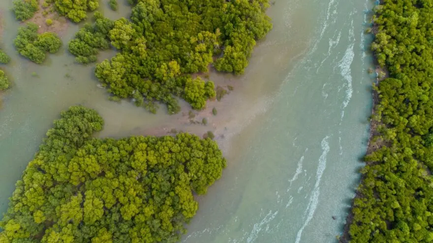 Curiosidades sobre a Guiné-Bissau: 18 fatos incríveis