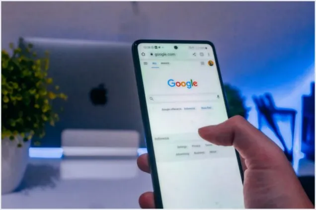 Análise de centenas de projetos mostra diferença de conversão entre tráfego orgânico e mídia paga no e-commerce